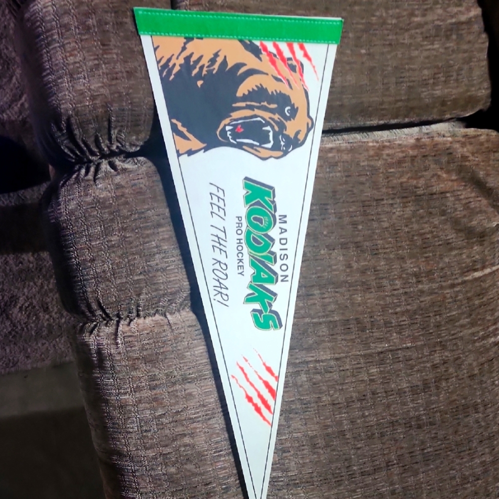 Pro Hockey Pennant - Green and White